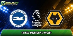 Soi kèo Brighton vs Wolves, 21h ngày 9/5 – Ngoại hạng Anh